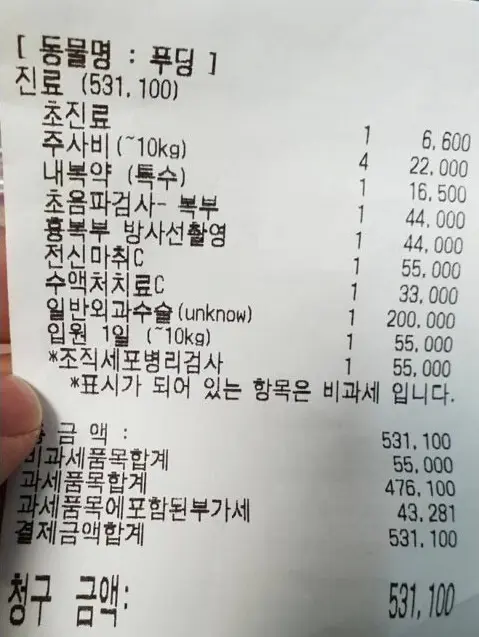 햄스터 병원치료비 ㄷㄷ | mbong.kr 엠봉