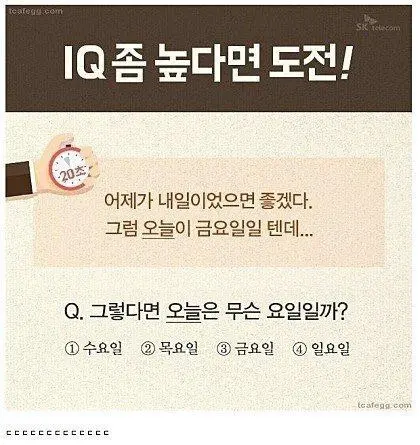 생각보다 엄청 헷갈리는 IQ도전문제 jpg | mbong.kr 엠봉