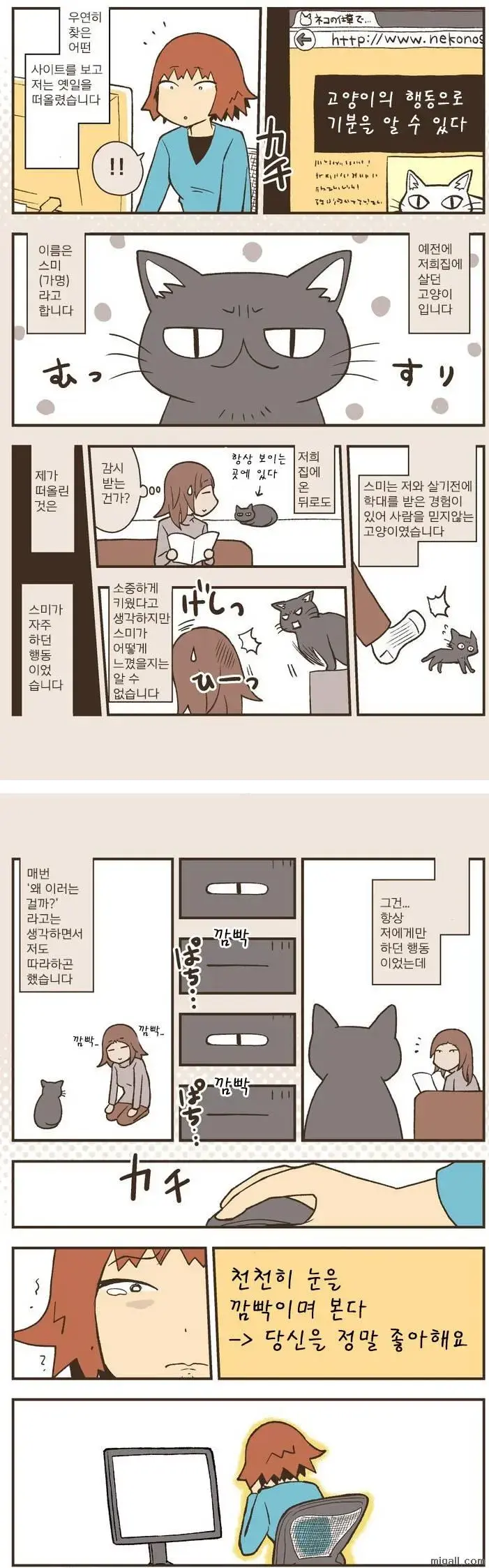 고양이가 눈을 깜박이는 만화.jpg | mbong.kr 엠봉