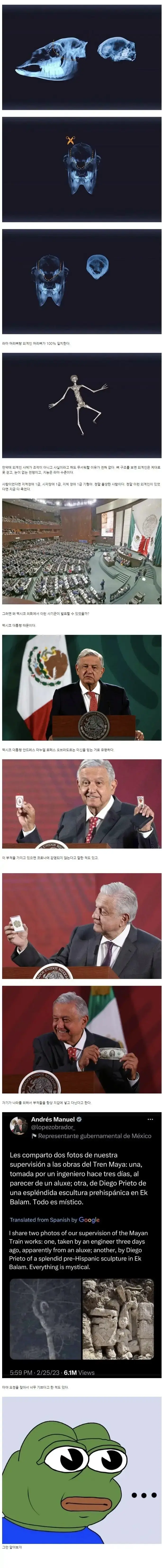 약혐) 멕시코에서 발견된 외계인 정체 | mbong.kr 엠봉