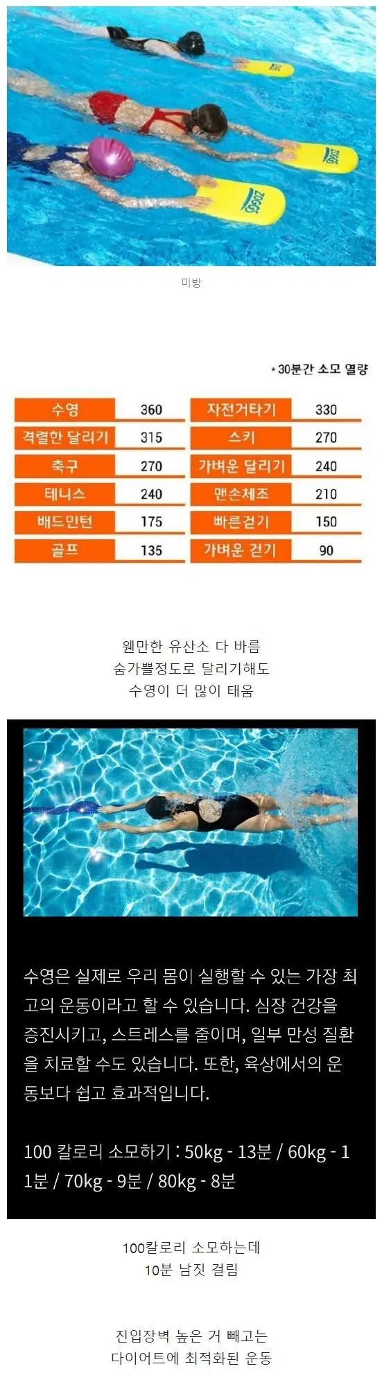 칼로리 태우기가 사기 수준인 수영 | mbong.kr 엠봉