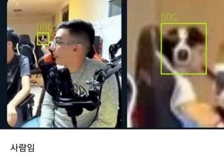 사람을 개로 인식하는 AI | mbong.kr 엠봉