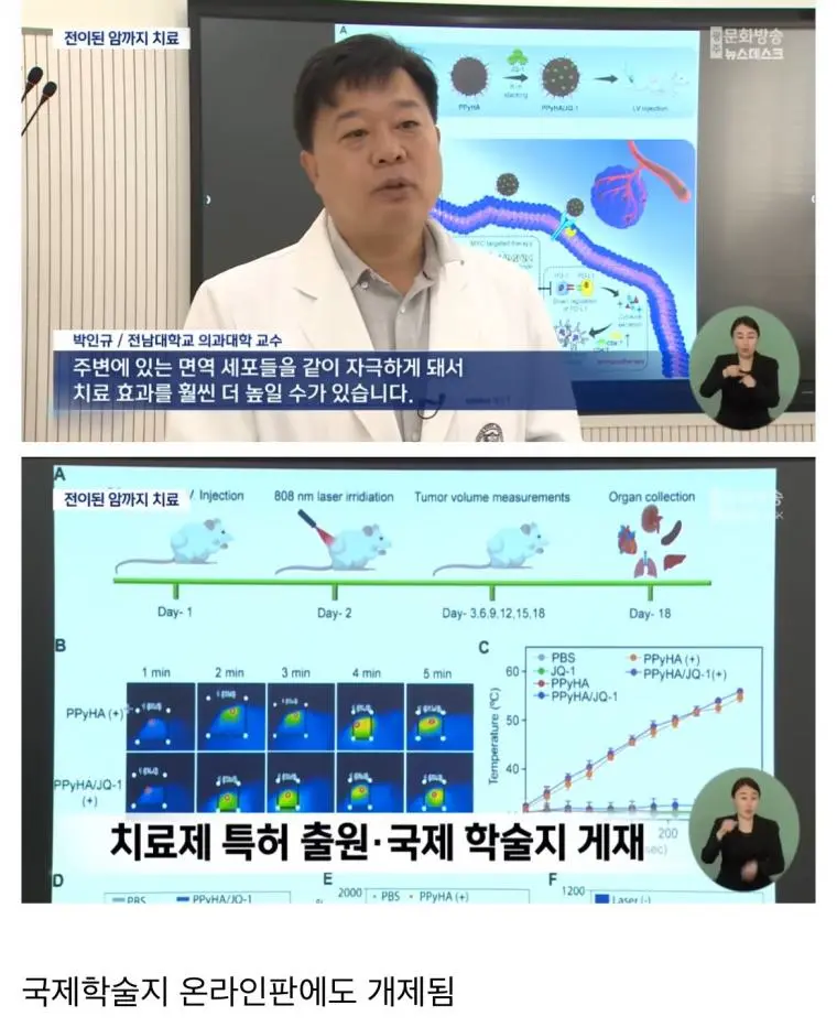 빛으로 암세포 죽이는 광 치료제 개발 성공 | mbong.kr 엠봉