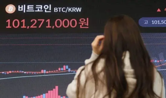 코인으로 3670억 번 한국인 부자…정체는 걸그룹 광팬? | mbong.kr 엠봉