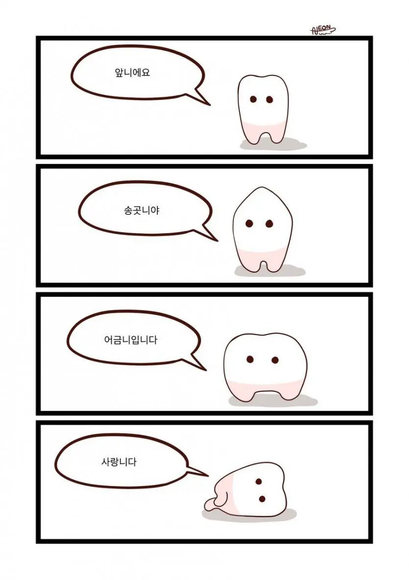 치아 들의 자기소개 | mbong.kr 엠봉