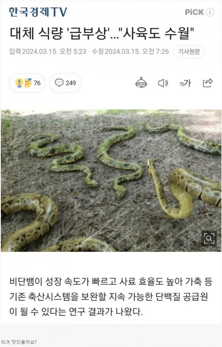 대체식량으로 급부상 중인 동물 | mbong.kr 엠봉