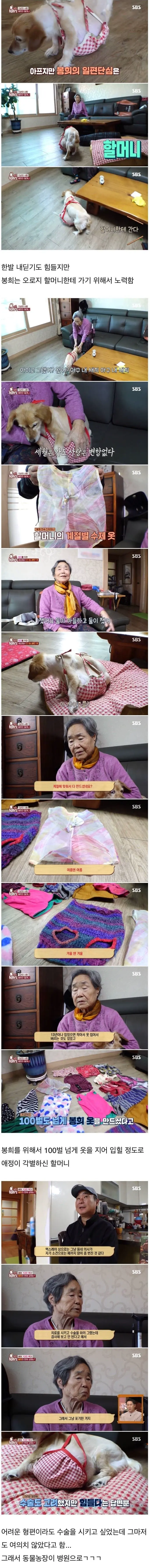 80대 할머니를 울게 만든 동물농장 제작진들.jpg.gif | mbong.kr 엠봉
