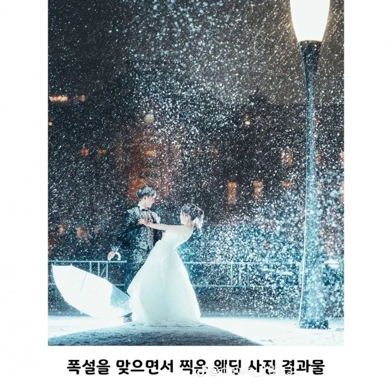 폭설에 웨딩사진 찍은 일본 부부 | mbong.kr 엠봉