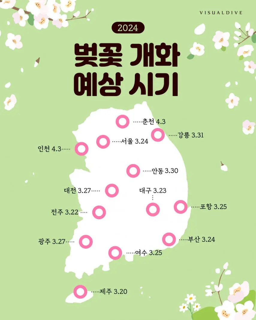 2024 벚꽃 개화 예상 시기 | mbong.kr 엠봉