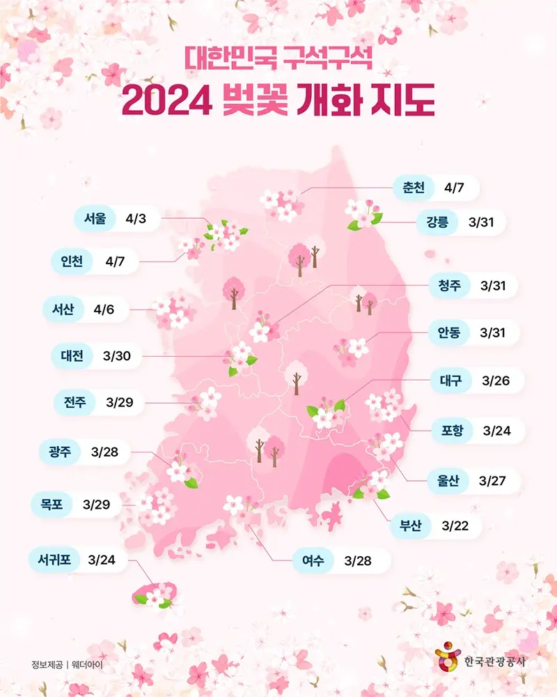 2024 봄데이트 필수 전국 벚꽃 개화 지도.jpg | mbong.kr 엠봉