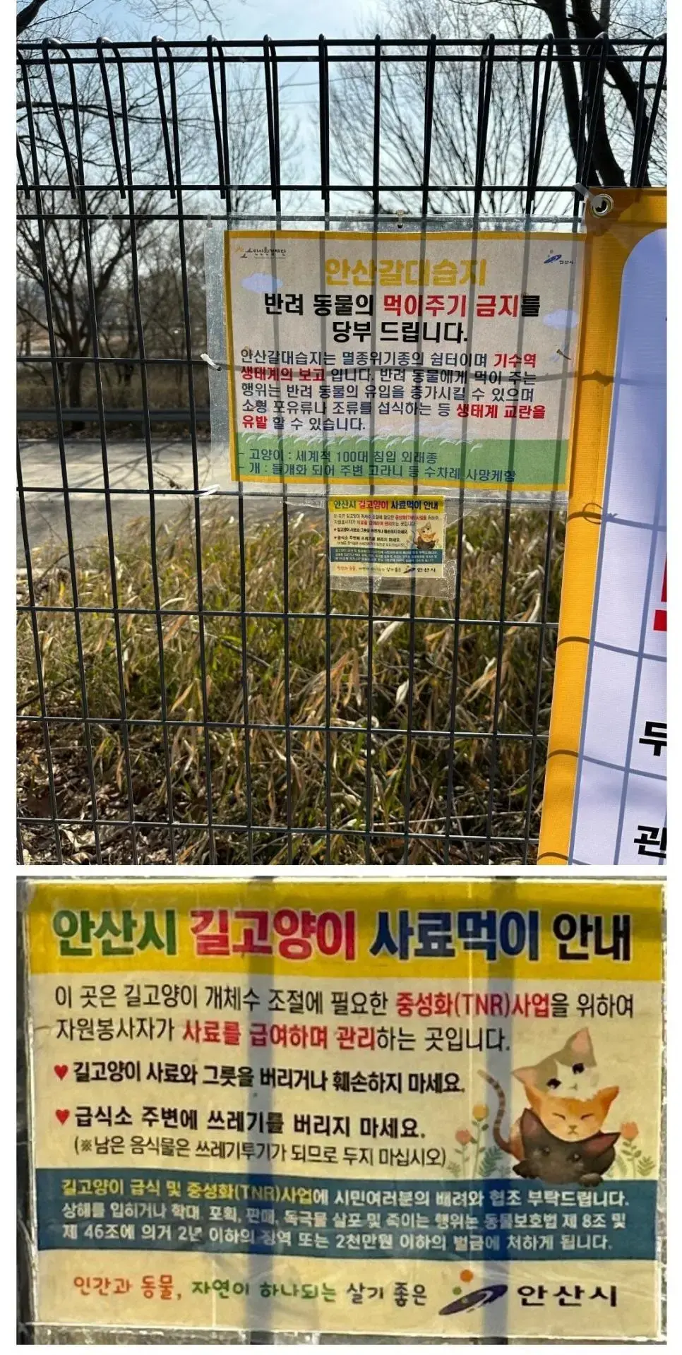 공문서 위조까지 하는 안산 캣맘 | mbong.kr 엠봉
