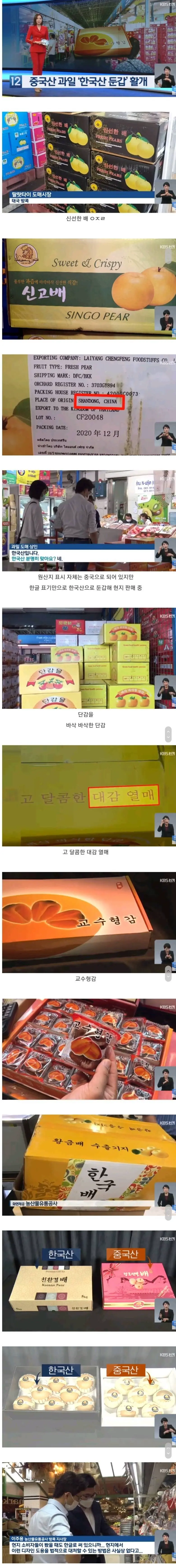 한국산으로 둔갑한 중국산 과일 | mbong.kr 엠봉