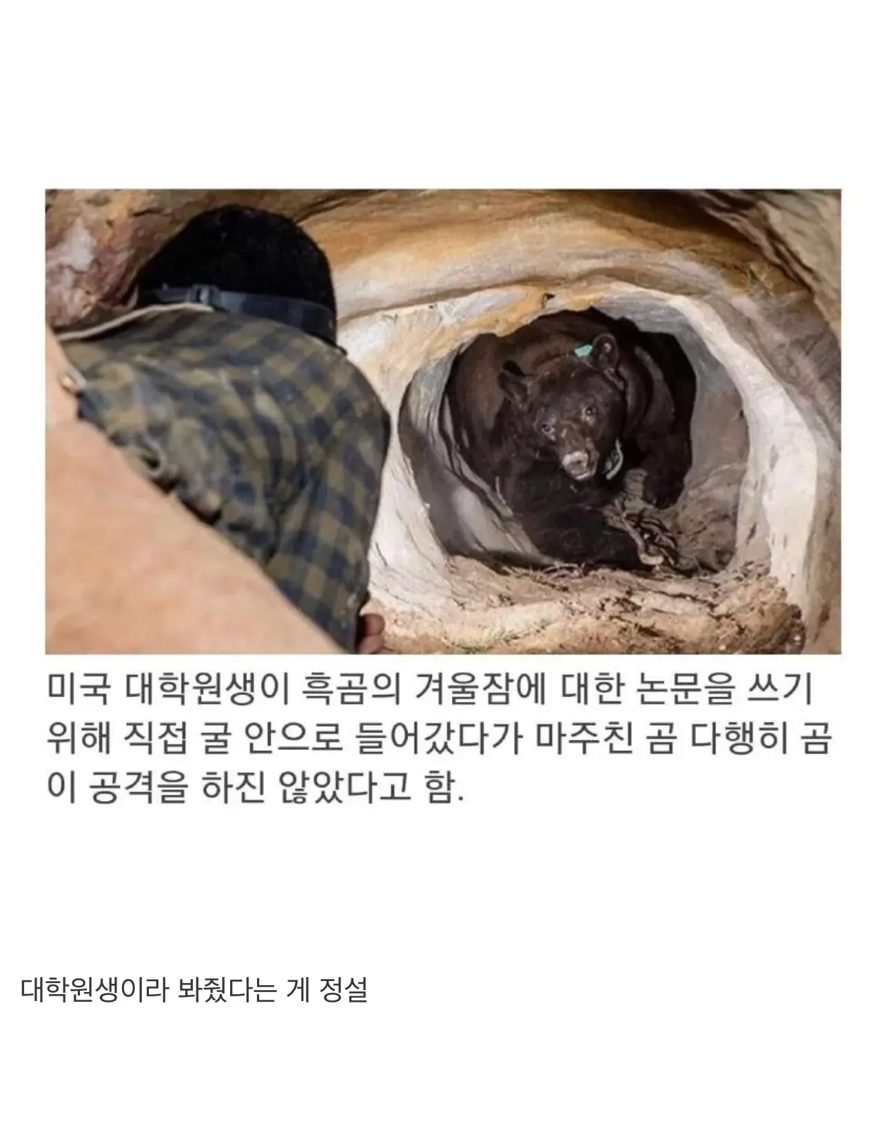 대학원생 논문 레전드 ㄷㄷ | mbong.kr 엠봉