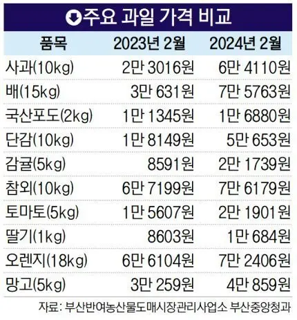 1년 사이 주요 과일 가격 비교 | mbong.kr 엠봉