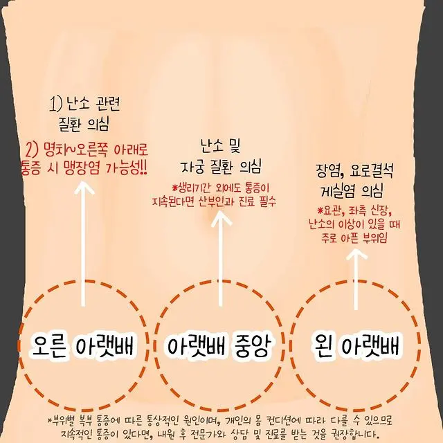 배 아픈 위치별 의심되는 질환 총정리.jpg | mbong.kr 엠봉