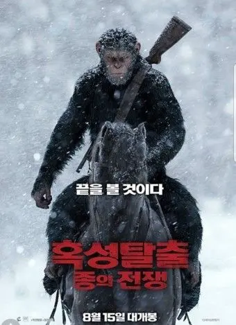 침팬지 vs 중국인 | mbong.kr 엠봉