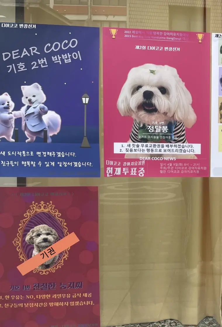 아 우리동네 강아지 유치원 투표 미쳤나봐 ㅋㅋㅋ | mbong.kr 엠봉