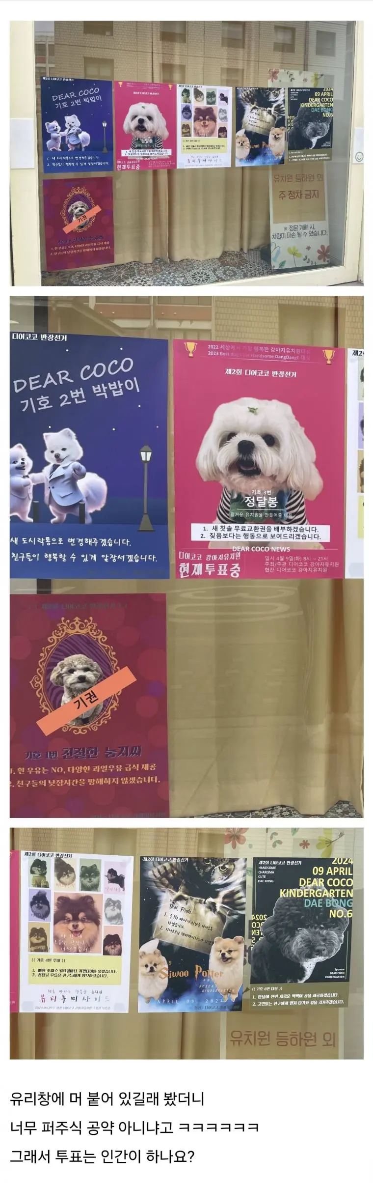 강아지 유치원에 걸린 선거 공약 포스터 | mbong.kr 엠봉