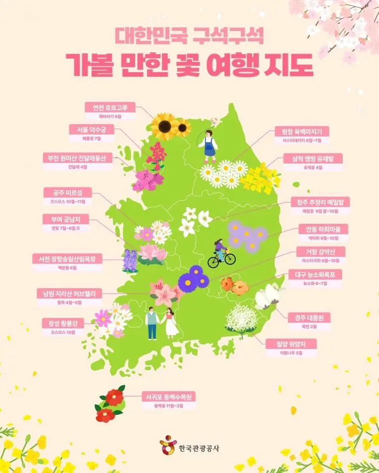 꽃 여행 지도(관광공사 피셜) [정보글] | mbong.kr 엠봉