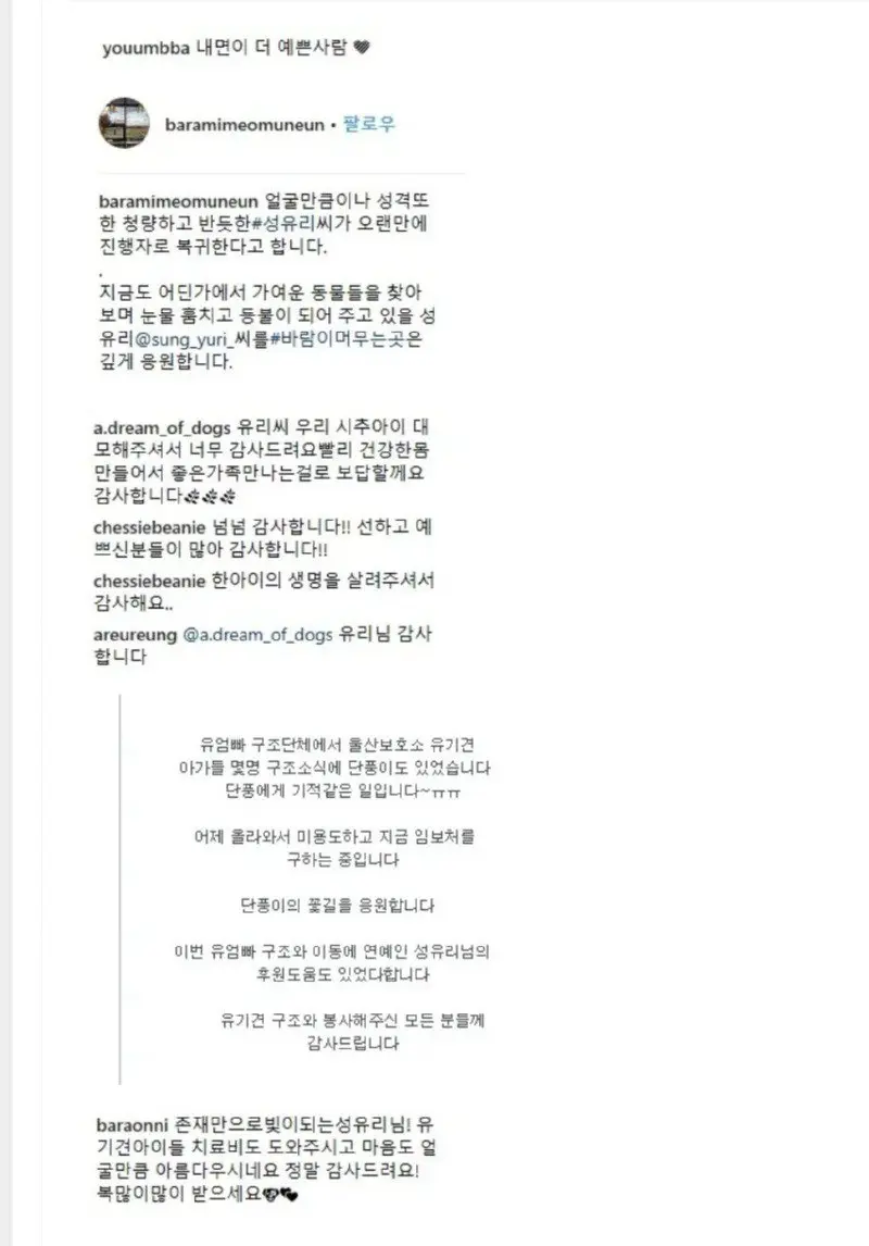 성유리 유기견 보호소 쉼터 봉사 방문 근황 JPG | mbong.kr 엠봉
