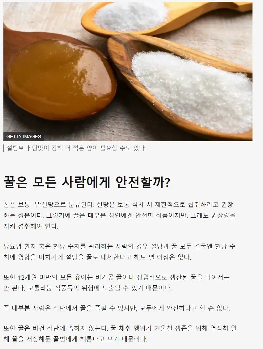꿀은 정말 건강에 좋을까? | mbong.kr 엠봉