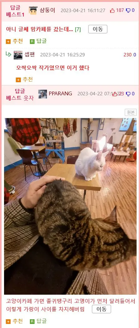 고양이 카페에 처음 가본 친구.manhwa | mbong.kr 엠봉