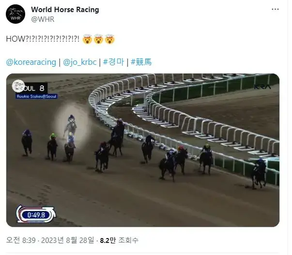 트윗에 올라온 한국 경마 경기 영상 | mbong.kr 엠봉