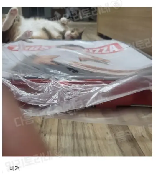 뜨뜻하니 좋은 자리를 발견한 고양이. | mbong.kr 엠봉