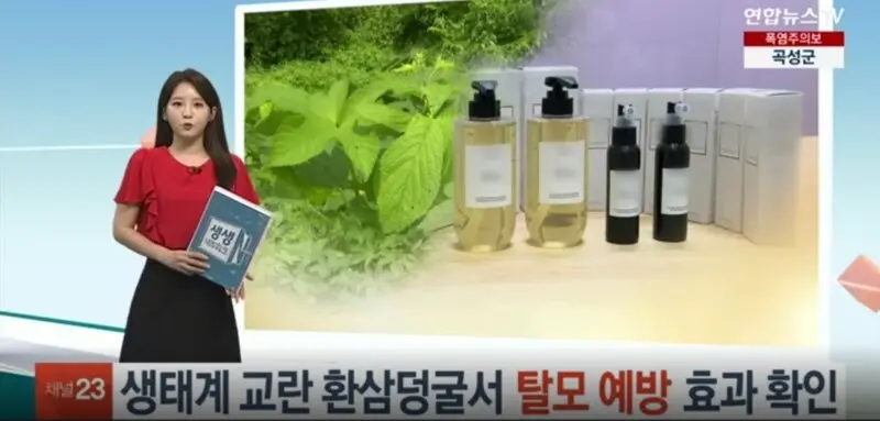한국 생태계 개박살내는 외래종 잡초 근황 | mbong.kr 엠봉