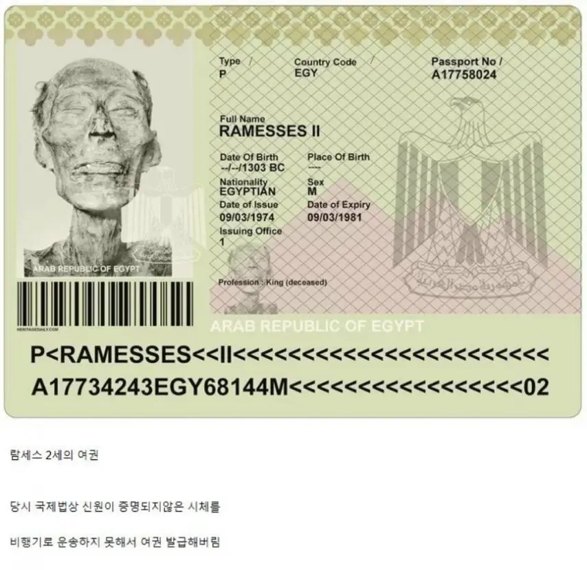 이집트 여권이 대단한 이유. | mbong.kr 엠봉