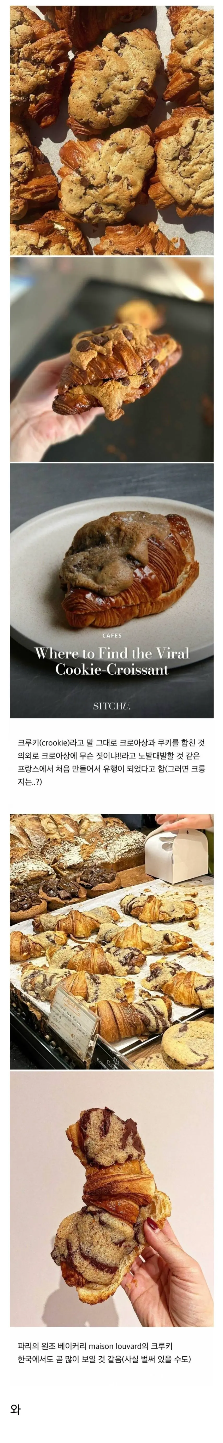 현재 외국 베이커리에서 가장 유행 중이라는 빵.jpg | mbong.kr 엠봉