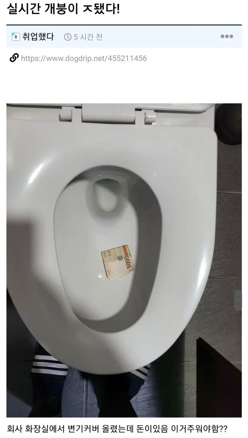 회사 화장실에서 변기커버 올렸는데 돈이있다면? | mbong.kr 엠봉