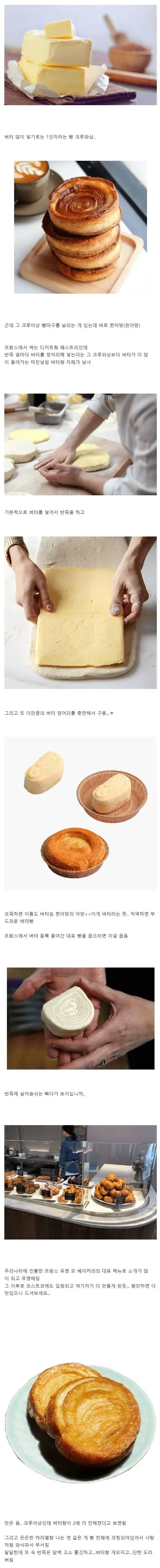 버터 맛이 크루아상보다 두 배 진하다는 빵.jpg | mbong.kr 엠봉