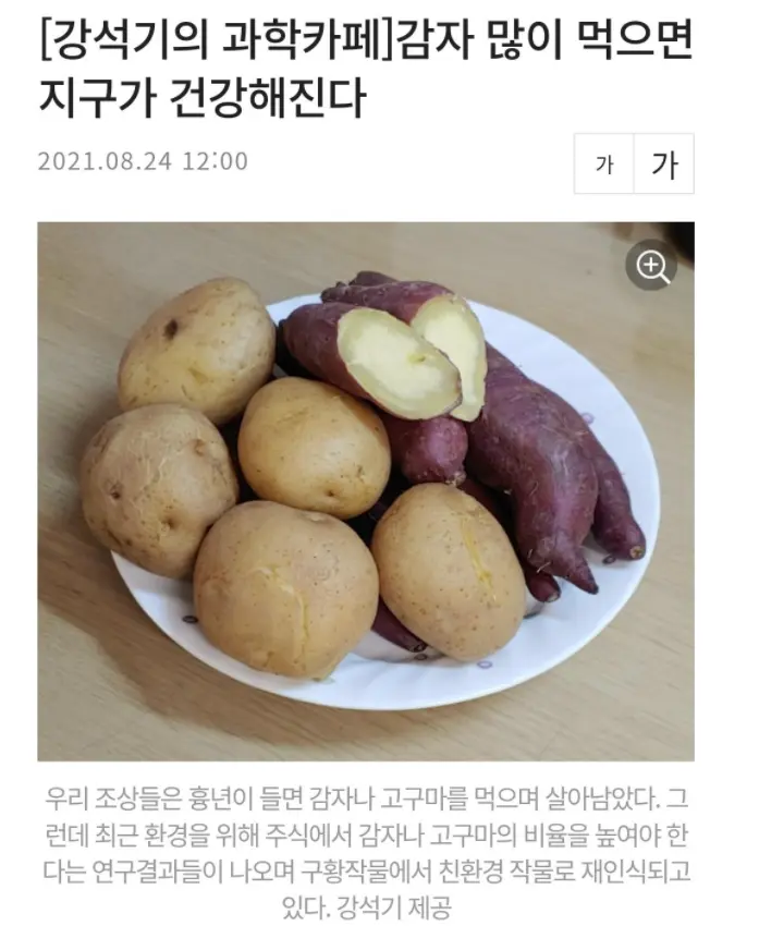 감자를 많이 먹는 게 환경에 도움이 된다고 함. | mbong.kr 엠봉