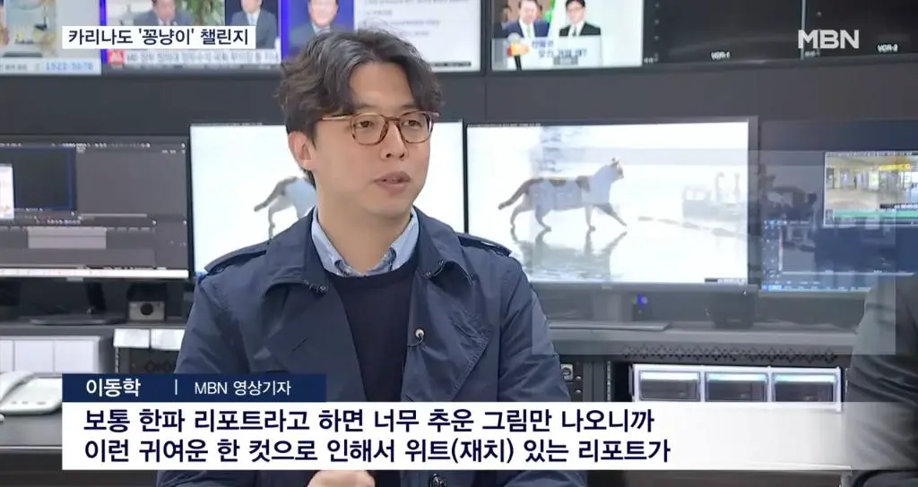 MBN 뉴스에 나온 꽁냥이 츄버지 | mbong.kr 엠봉