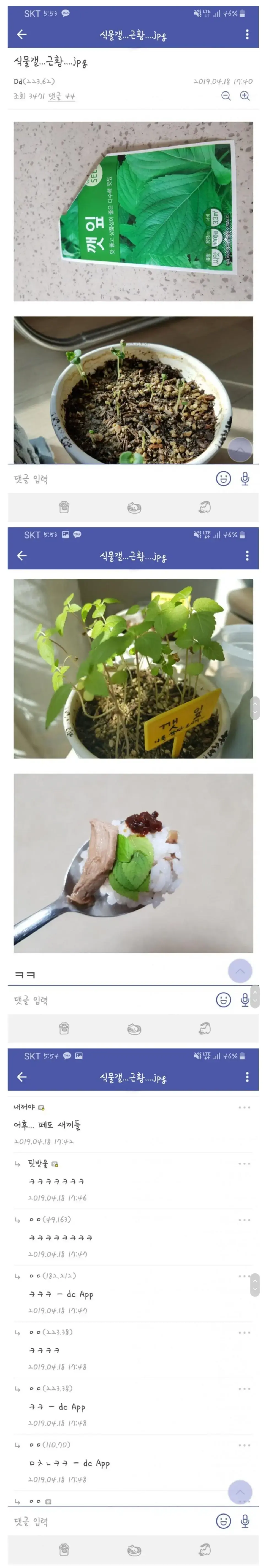 흔한 디시인사이드 식물 갤러리 | mbong.kr 엠봉