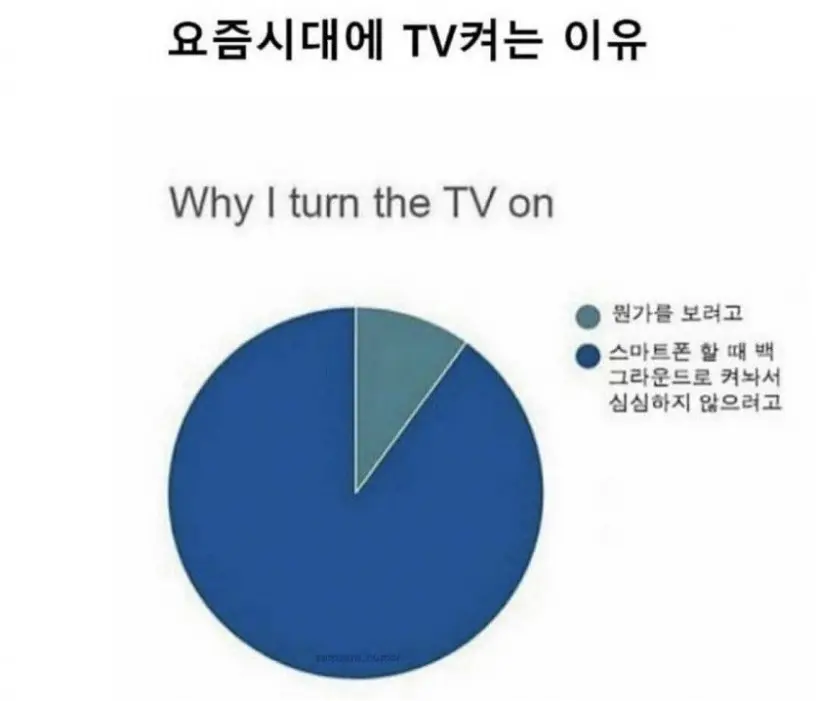 요즘 시대에 tv 켜는 이유.jpg | mbong.kr 엠봉