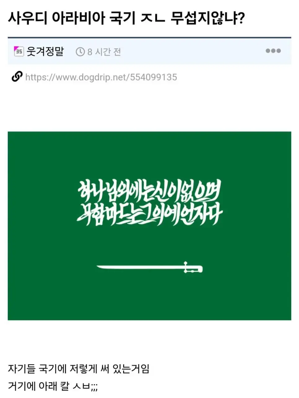 사우디아라비아 국기가 ㅈㄴ 무서운 이유 | mbong.kr 엠봉