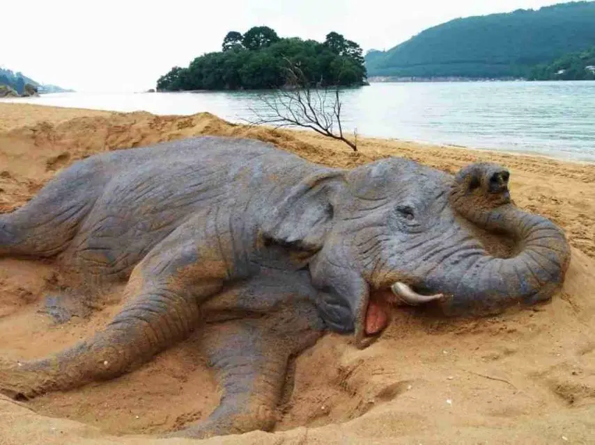 모래로 만든 사실적인 동물들 | mbong.kr 엠봉