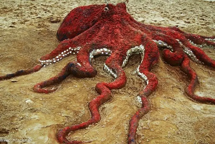 모래로 만든 사실적인 동물들 | mbong.kr 엠봉