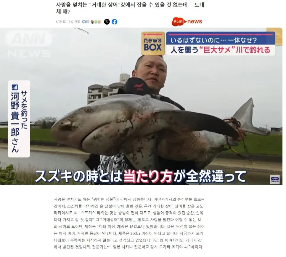 한국의 강보다 생명력이 넘치는 일본의 강물 | mbong.kr 엠봉
