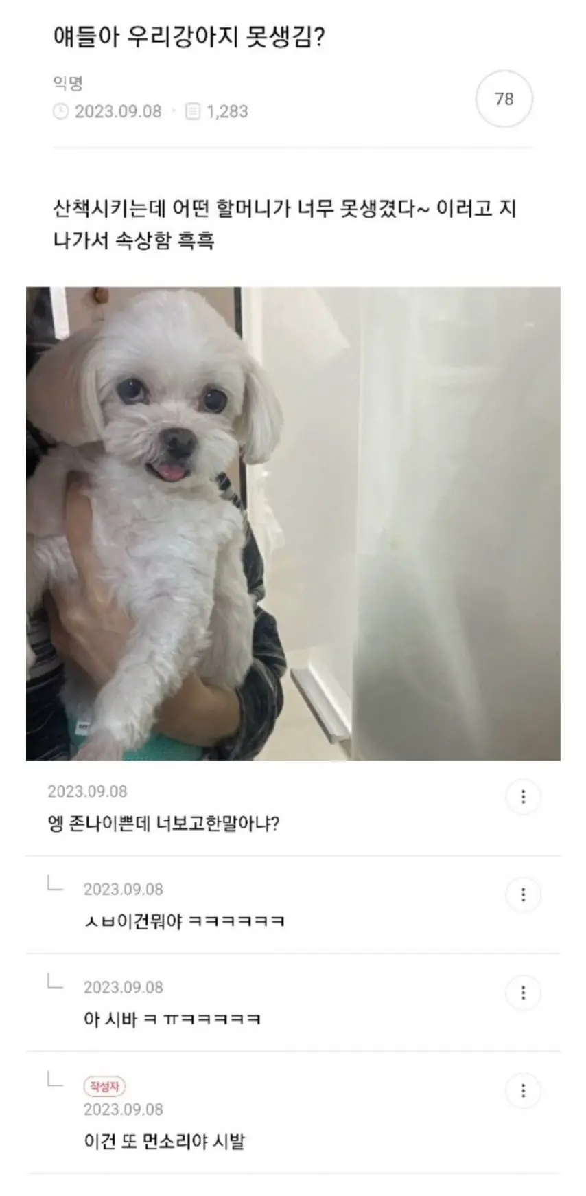 얘들아 우리 강아지 못생김? ㅜㅠ | mbong.kr 엠봉