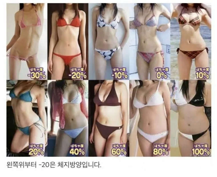 일본의 여성몸매 취향표 | mbong.kr 엠봉