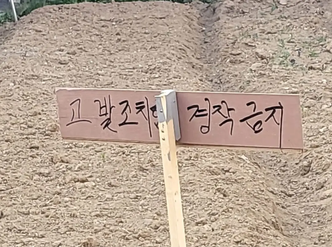 당하기 쉬운 시골의 흔한 씨뿌리기 수법 | mbong.kr 엠봉