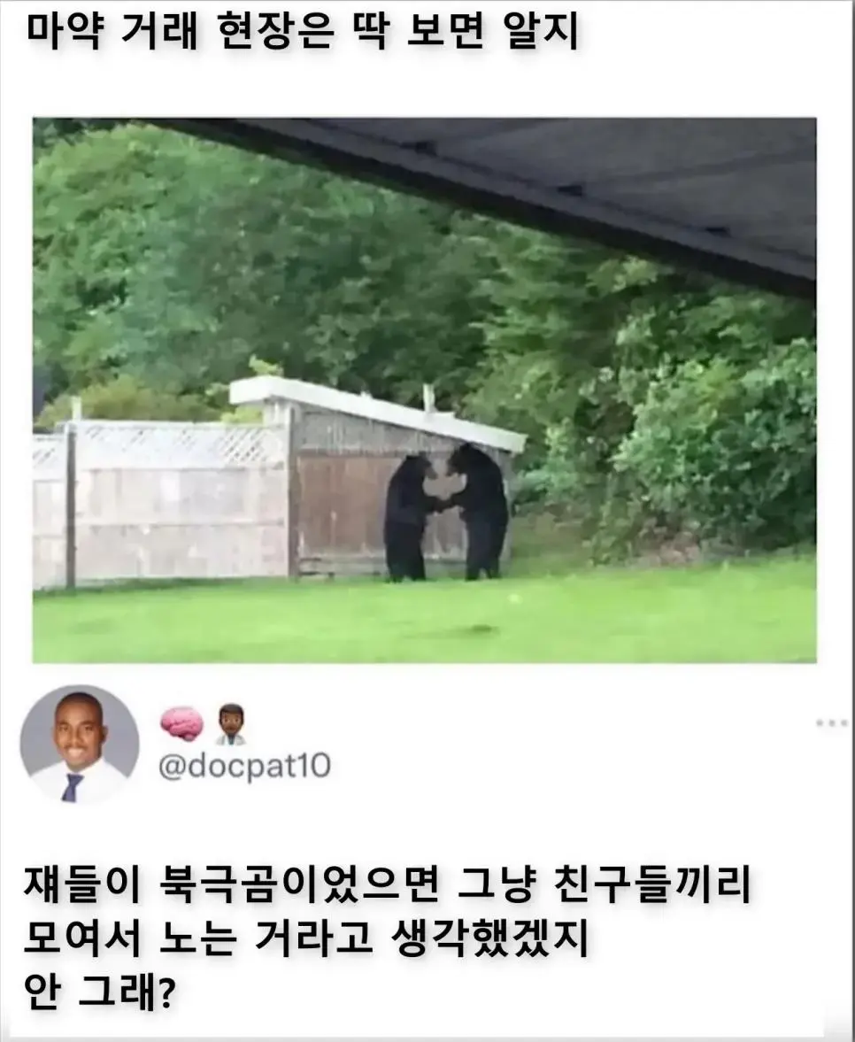 수상한 거래현장 | mbong.kr 엠봉