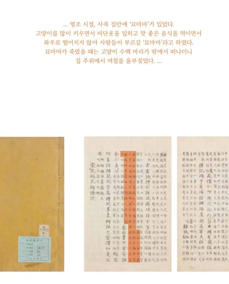 조선시대 캣맘 | mbong.kr 엠봉