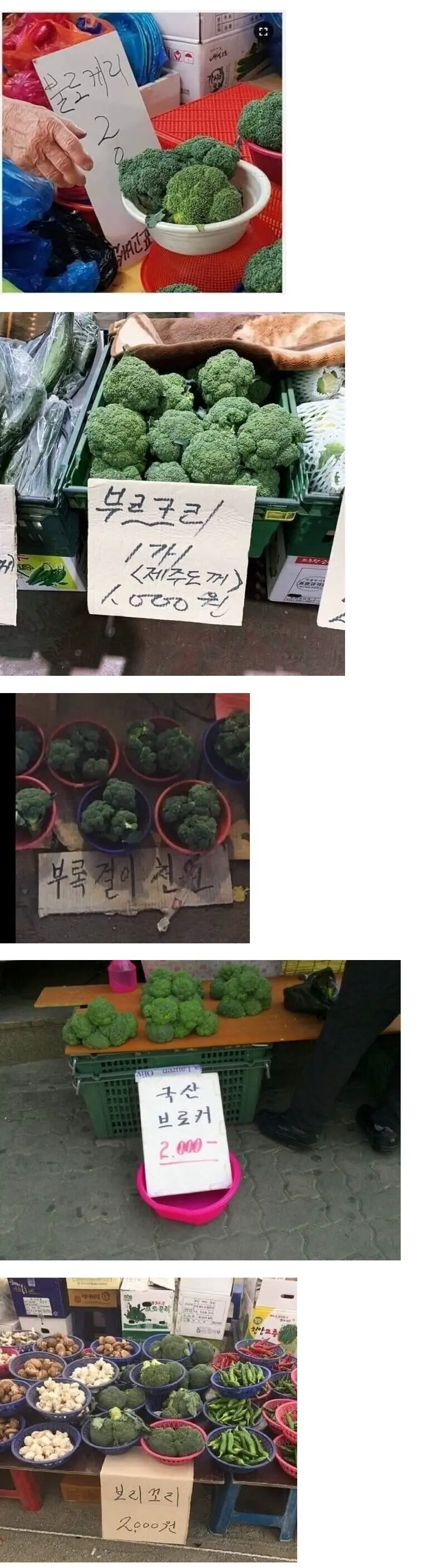불리는 이름이 다양한 채소 | mbong.kr 엠봉