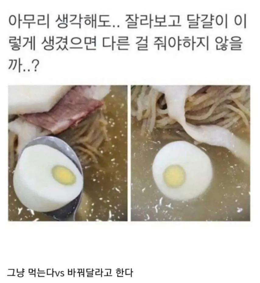 냉면 시켰는데 달걀이 이렇게 생겼다면?.jpg | mbong.kr 엠봉