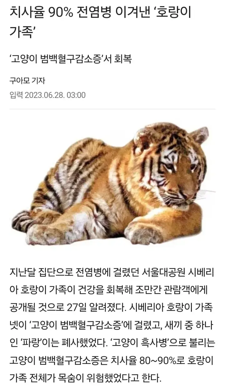서울대 공원 호랑이폐사의 원인중 하나 | mbong.kr 엠봉