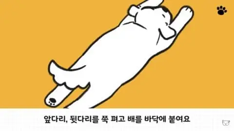 댕댕이 수면 자세 이유.jpg | mbong.kr 엠봉